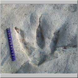 100_0466 (2009-26-07)m.JPG